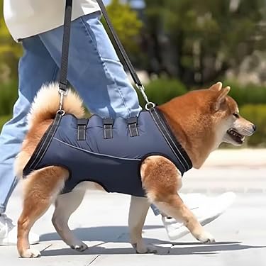 Amazon.co.jp 最新リリース: 犬用ハーネス の新着ランキングです。